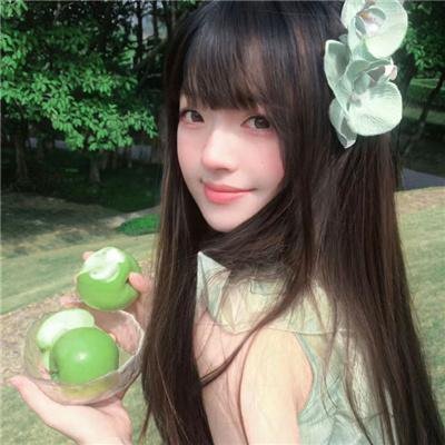 领头羊